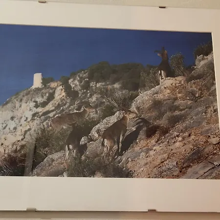 Apartamento La Morada Del Mar