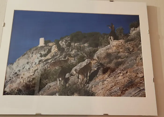 Apartamento La Morada Del Mar